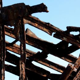 PeterIredale