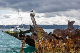 Shipwreck Picture