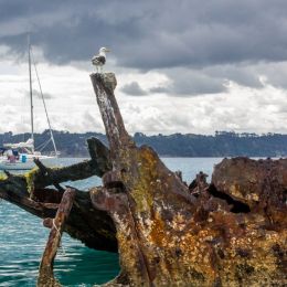 Shipwreck Picture