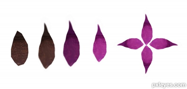 Creation of Violets: Step 3