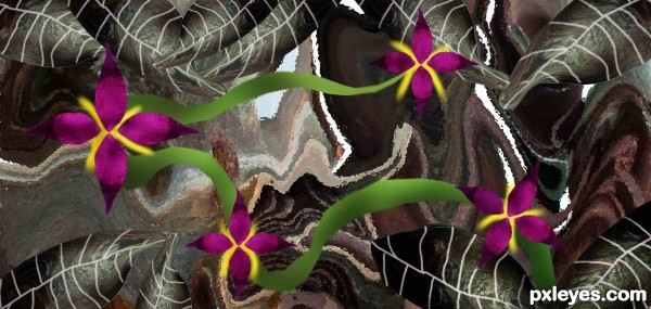 Creation of Violets: Step 5