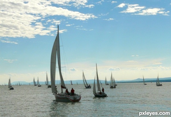 Blue Ribbon.Balaton