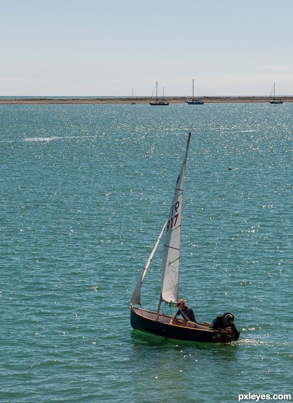 sunny day in the harbour