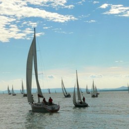 Blue Ribbon.Balaton