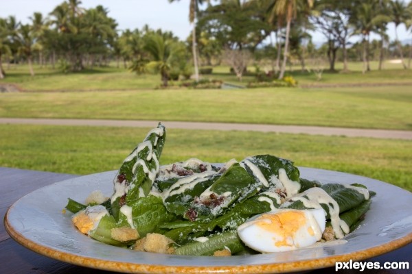 Ceaser Salad