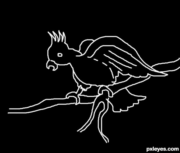 Creation of Cockatoo: Step 1