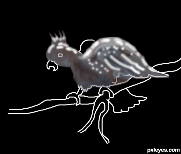 Creation of Cockatoo: Step 3
