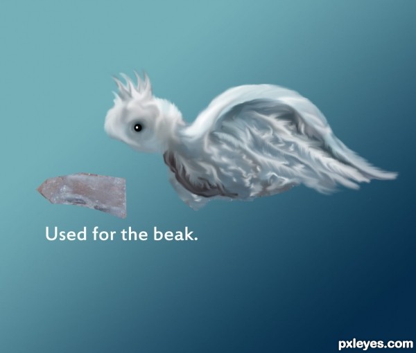 Creation of Cockatoo: Step 5