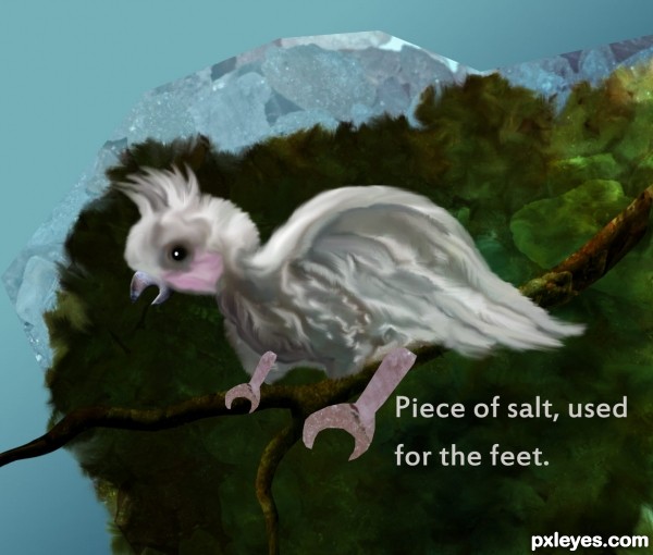 Creation of Cockatoo: Step 12