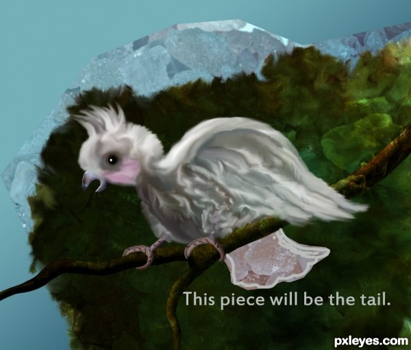 Creation of Cockatoo: Step 13