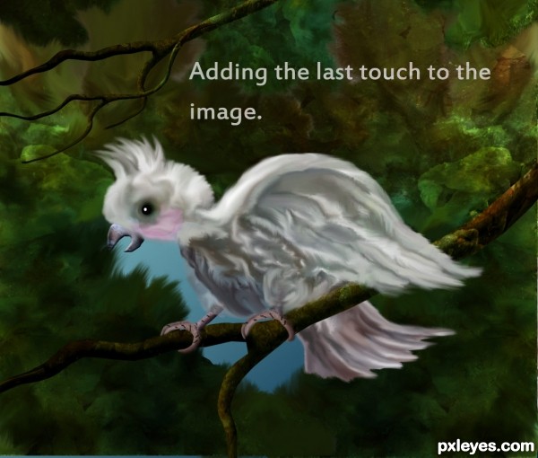 Creation of Cockatoo: Step 14