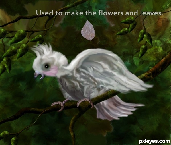 Creation of Cockatoo: Step 15