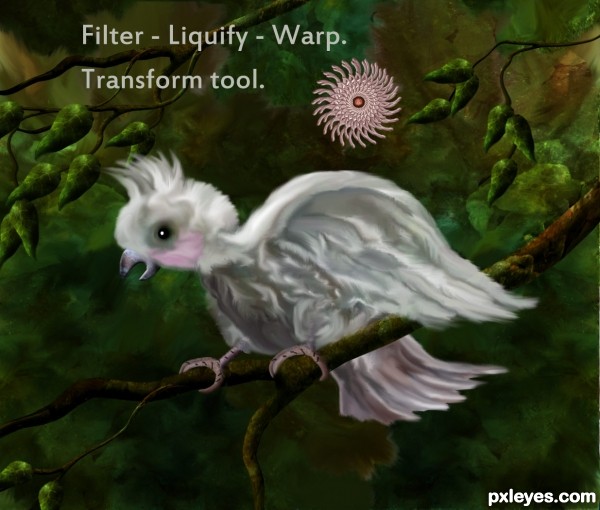 Creation of Cockatoo: Step 16