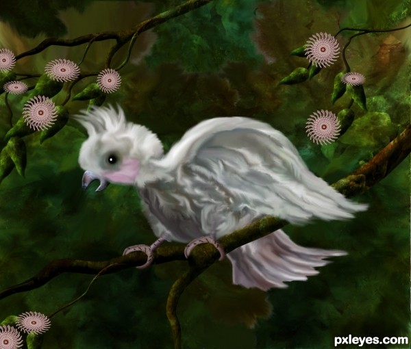 Creation of Cockatoo: Step 17