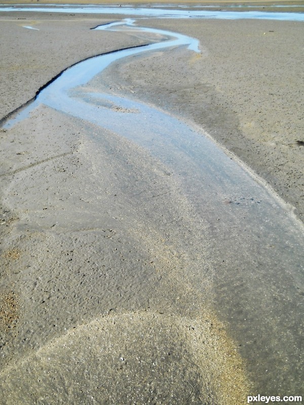 At Low Tide