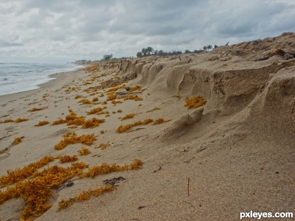 Sand Erosion