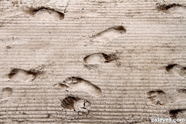 Sandy footsteps