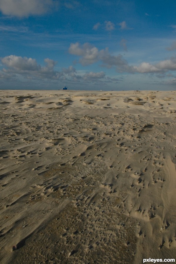 Windy beach