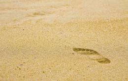 Foot print