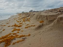 SandErosion