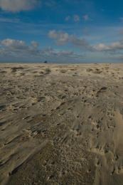 Windy beach