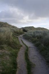 sand pathway