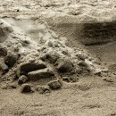 sand mass photoshop contest