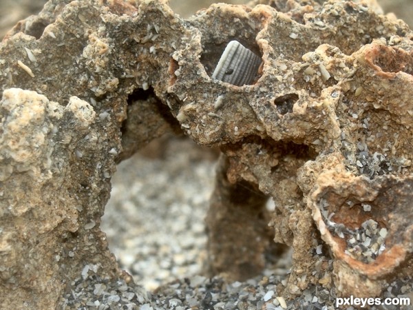 Natural Beach Sculpture