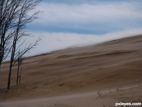 Sand Blasted