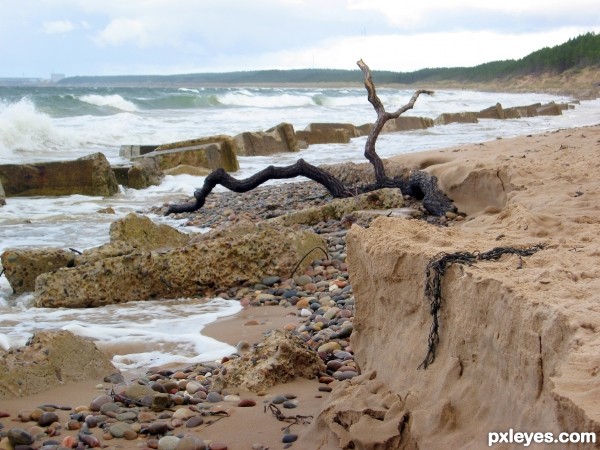 Beach Erosion