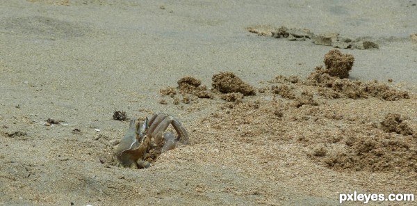 digging in or digging out? 