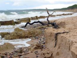 BeachErosion