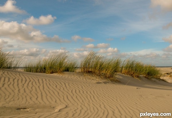 Sandy Dunes