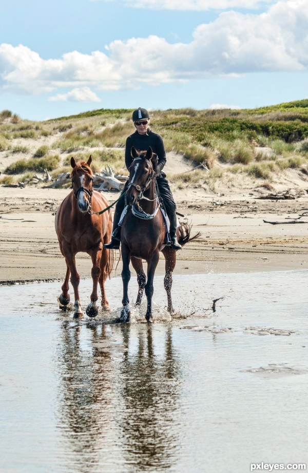 Taking the horses for a ride