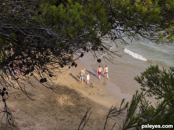 Wandering on the sandy beach