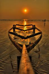 Boat skeleton on beach Picture