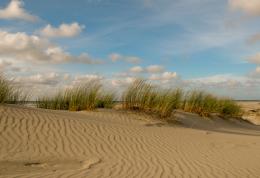 Sandy Dunes