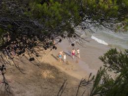 Wandering on the sandy beach