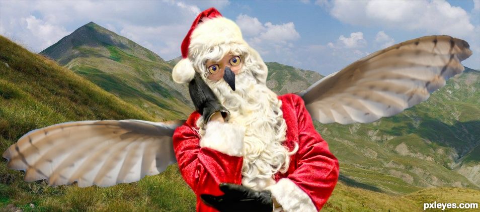 Owl Santa
