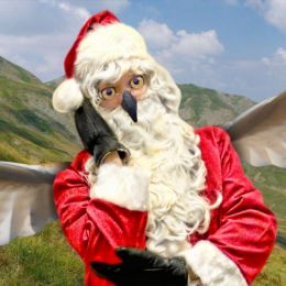 OwlSanta