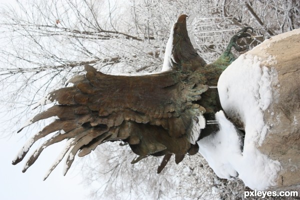 Winters Eagle