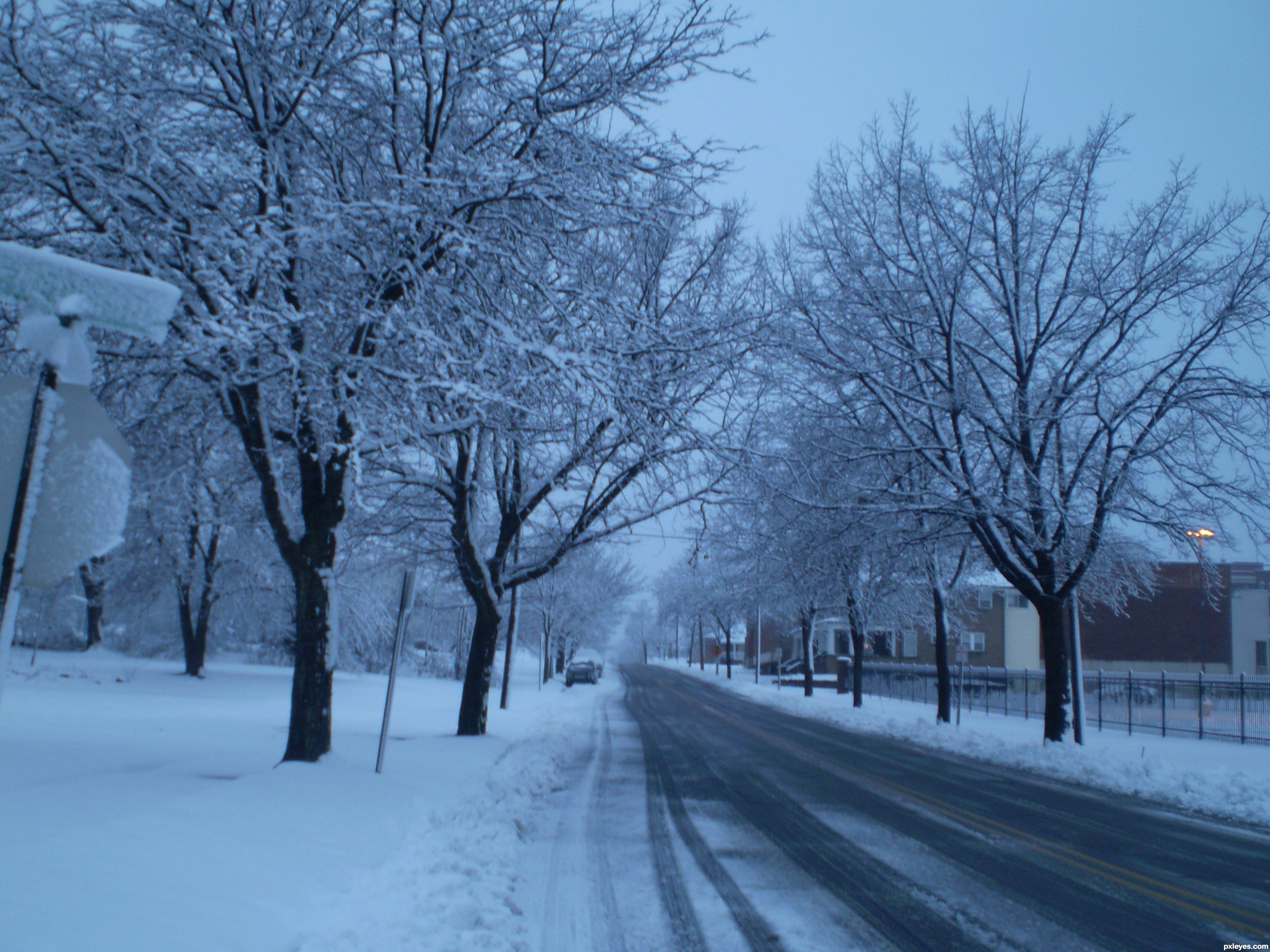 winter wonderland picture, by ljjmwalker for: saturday photography 