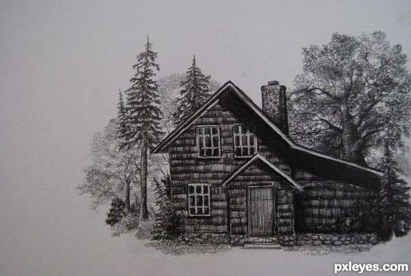 Creation of home in the country: Step 5