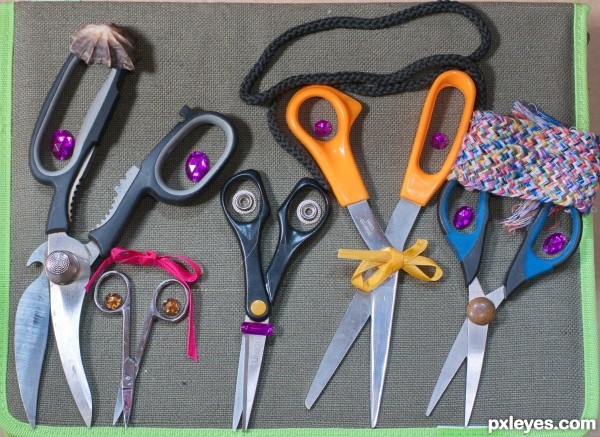 The Scissors Family