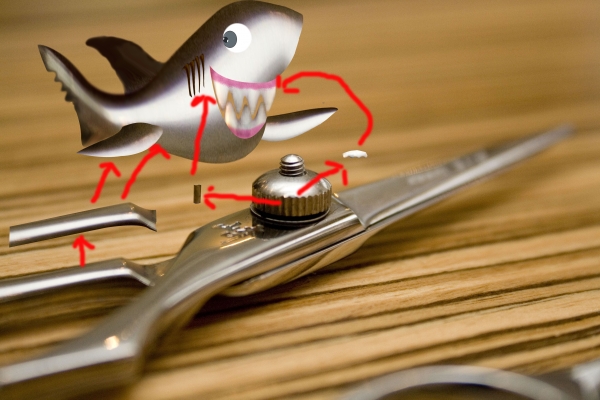 Creation of Scissors Shark: Step 1