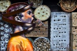 Confrontation infront of the Bug Hotel