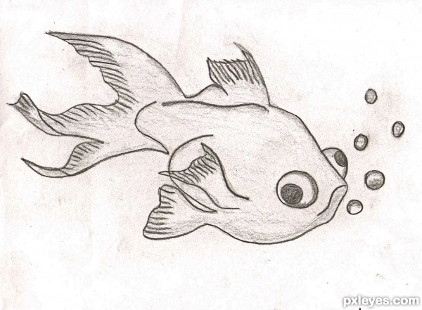 Creation of Funny Fish!: Final Result