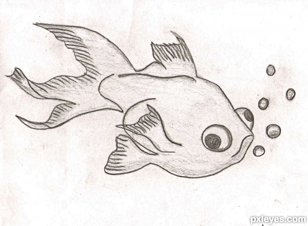 Funny Fish!