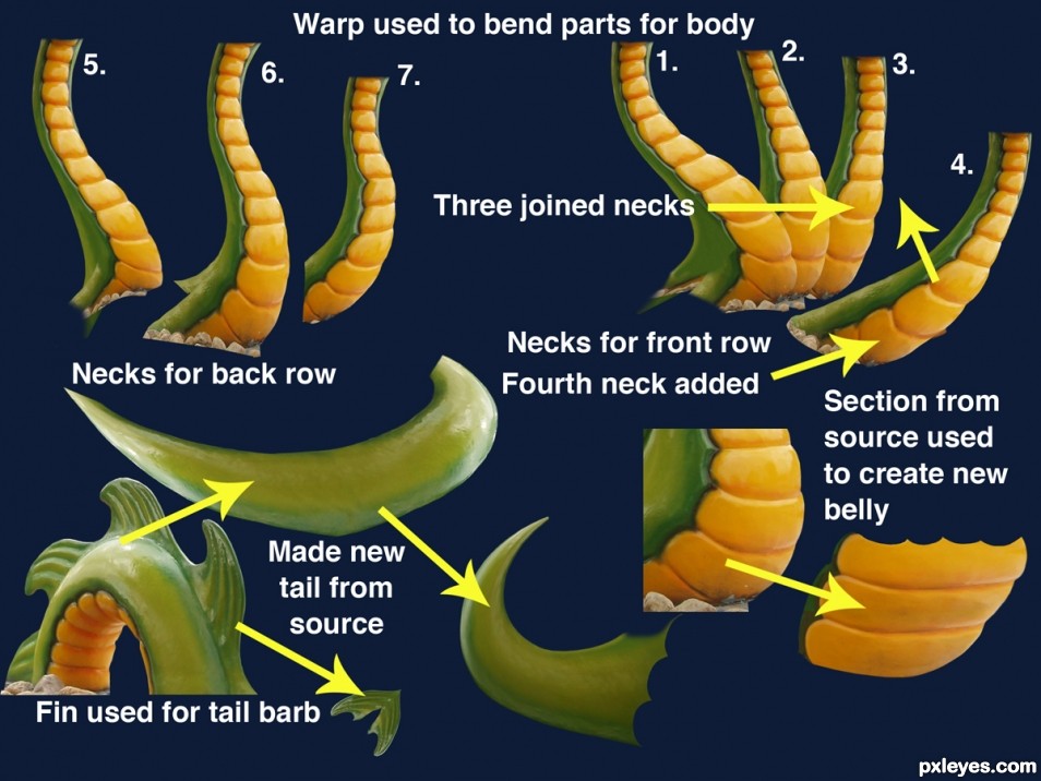 Creation of A Hydra Named Horace: Step 1