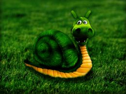 green dragonsnail 